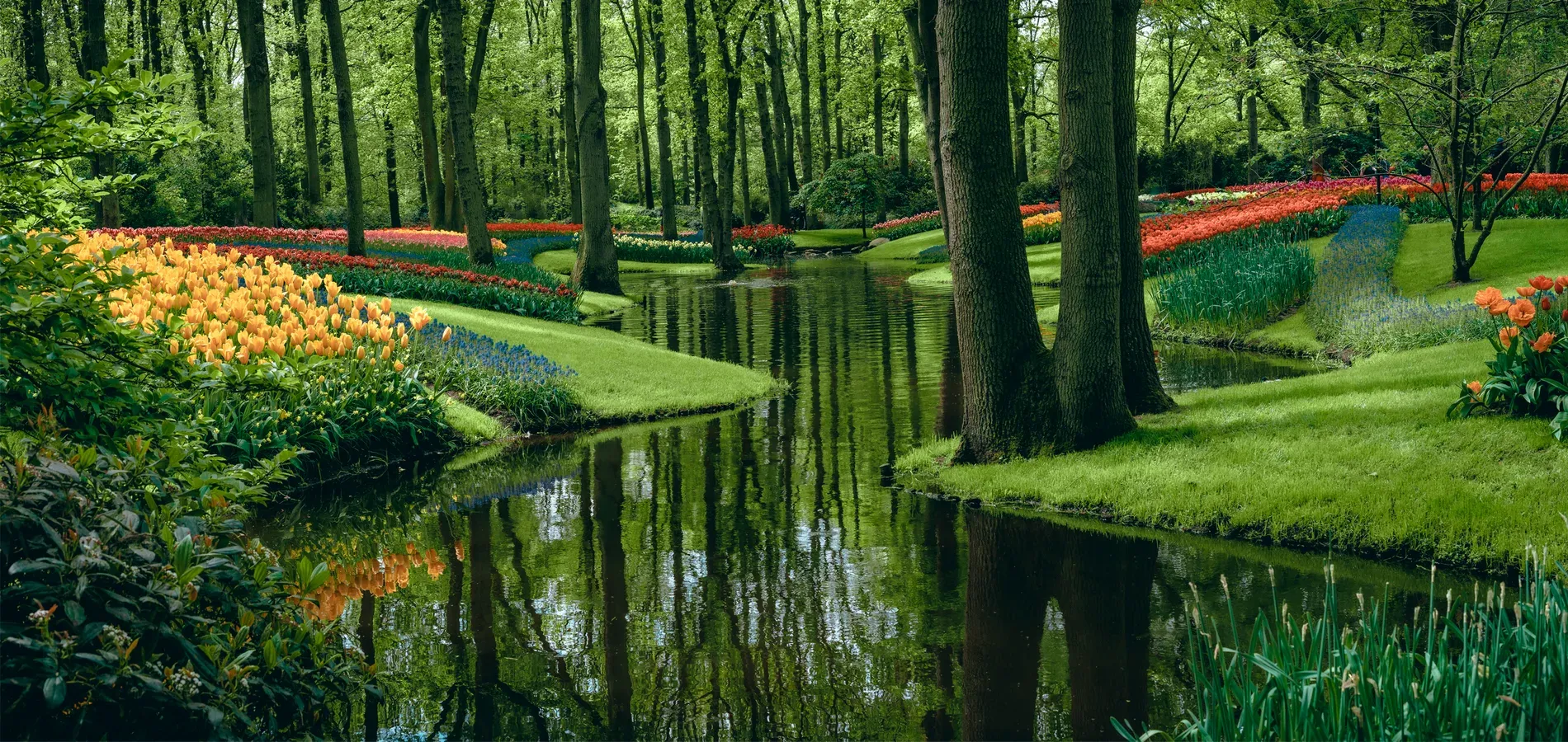 Paisaje — Satori Arts, foto 5