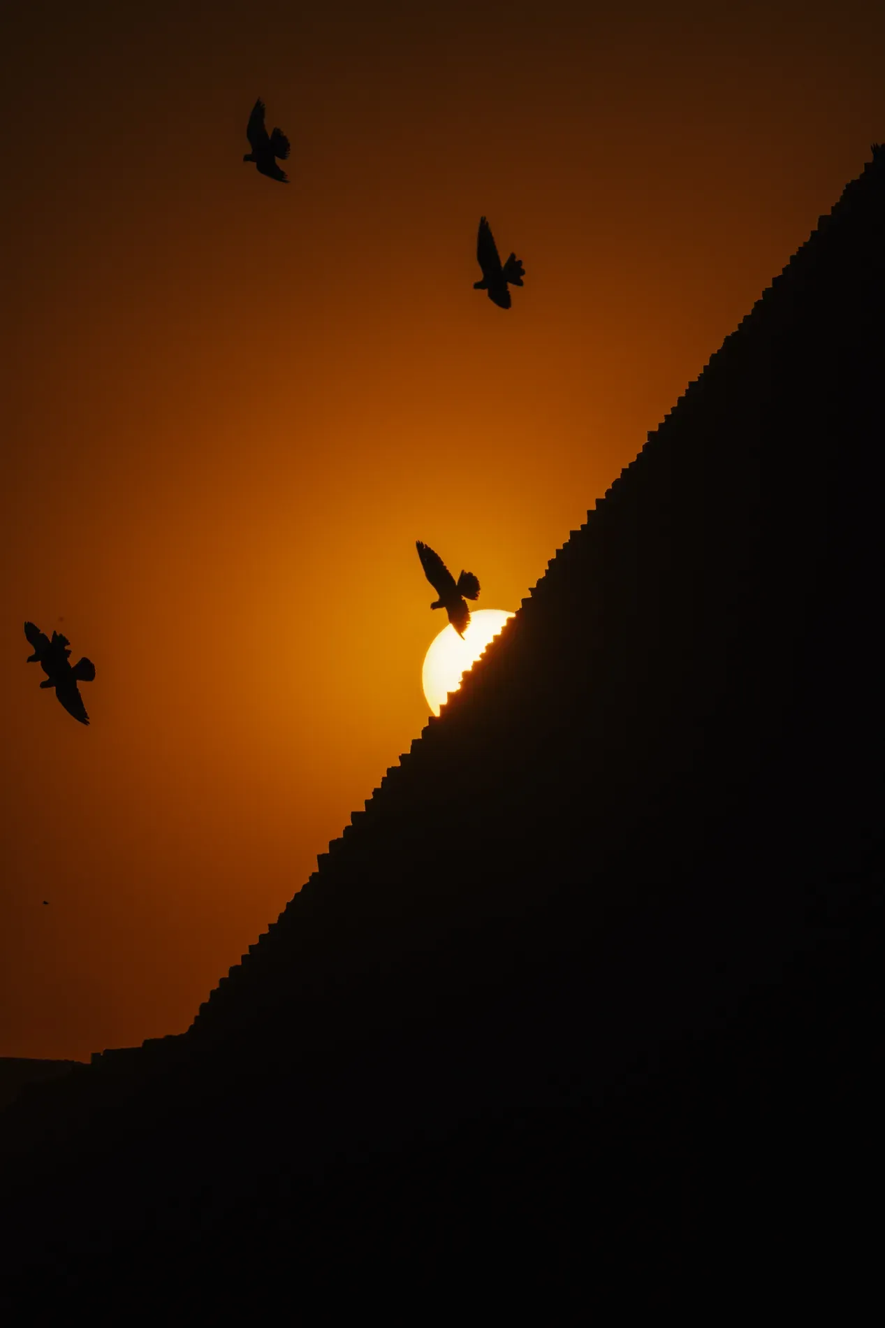 Paisaje — Satori Arts, foto 10